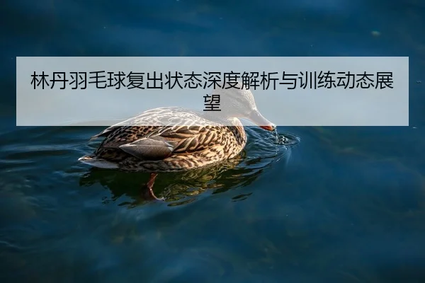 林丹羽毛球复出状态深度解析与训练动态展望